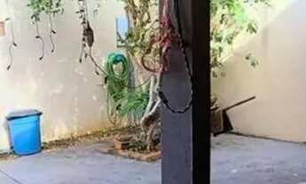 Imagem 4: Casa á venda com 2 quartos no Jardim Presidente em Campo Grande - MS