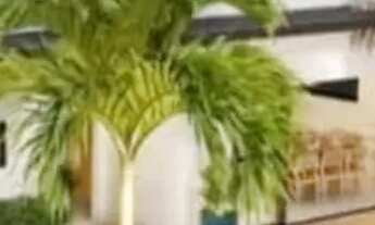 Imagem: Ágio Apartamento Vista 21 Emisa -Aceita