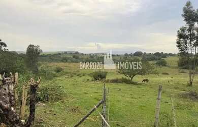 Imagem 7: Barrozo Imóveis - Propriedade a venda com 19.3 ha (193.000 m²) PLANA com nascente e pasto