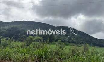 Imagem 4: FAZENDA BOM JESUS - MATO GROSSO