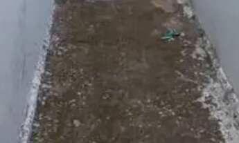 Imagem 5: JARDIM ANTUNES - CASA RESIDENCIAL FUNDOS 1 DORMITÓRIO SEM GARAGEM