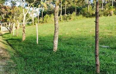 Imagem 3: Sitio Chácara com venda por R$680.000