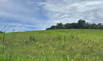 Imagem: Terreno Residencial em Ibiúna à Venda