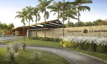 Imagem 2: Lote Fazenda Lumiar 601m²