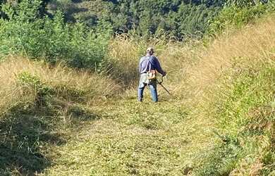 Imagem 4: Sítio em Estrada da Serra Grande - Serra Grande Italiana - Gramado/RS