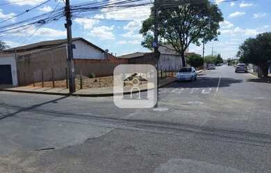 Imagem 3: Terreno para venda no bairro Jardim das Palmeiras