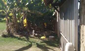 Imagem 7: TERRENO - SANTA CRUZ - SP