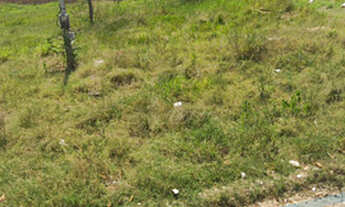 Imagem: Terreno 608m², Multifamiliar, em Itaboraí