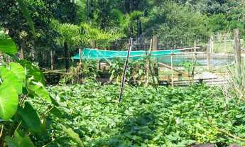 Imagem 7: Chacara em Garuva Vendo ou Troco