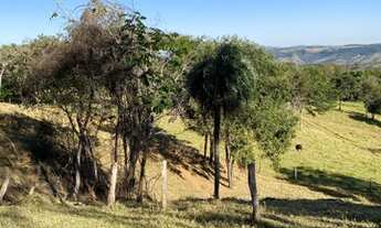 Imagem 2: Chácara em Rubiataba-go 5,4 alqueires