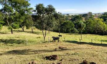 Imagem 4: Chácara em Rubiataba-go 5,4 alqueires