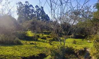 Imagem 7: Otima chácara para pecuária, localizada em Taquara!!