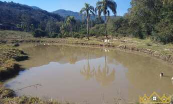 Imagem 5: Sítio / Chácara para Venda em São Francisco de Paula, Boa Vista, 3 dormitórios, 2 banheiro