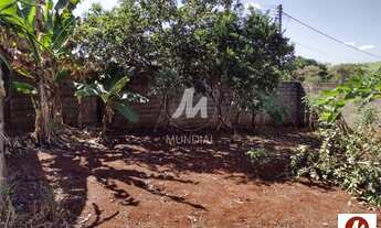 Imagem 4: Terreno (terreno normal