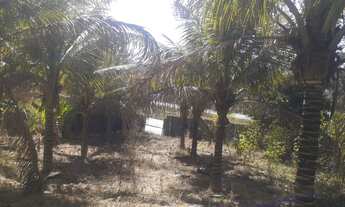 Imagem 6: Lindo Sítio (cidade de Paraopeba) 1.400 metros, do lado da BR040