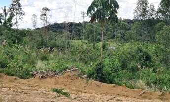 Imagem 5: Terreno na planta aproveite