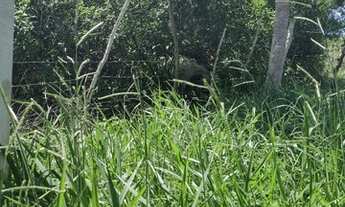 Imagem 2: Oportunidade única - Fazenda boi gordo