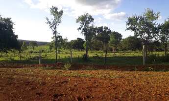 Imagem 6: FAZENDINHAS frente cercada e porteira