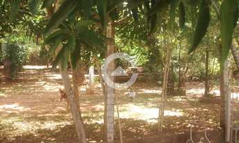 Imagem 6: Chácara - Chácara São Marcelo - Mogi Mirim