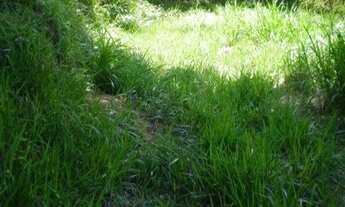 Imagem 6: Terreno - Sítios de Recreio Gramado - Campinas