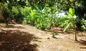 Imagem 6: Araçatuba - Lote/Terreno - Petit-Trianon