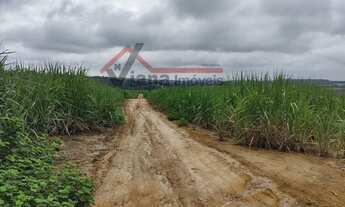 Imagem: Capivari - Sítio - Santa Rita