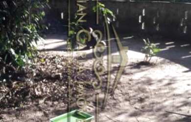 Imagem 3: Lindo Sítio na Vila Antartica em Mongaguá - São Paulo