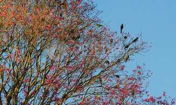 Imagem 5: Venda Terreno em condomínio CONDOMÍNIO MORADA DO SOL