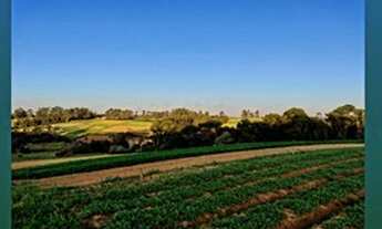 Imagem: Terrenos Planos e Limpos Para Sua Casa de
