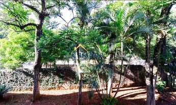 Imagem 3: Apartamento - Jardim Nossa Senhora Auxiliadora - Campinas