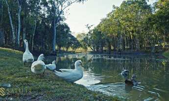Imagem 7: CAMBORIú - Terreno Padrão - Distrito Rio do Meio