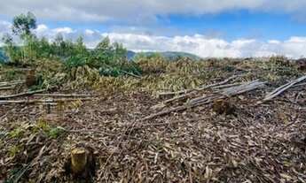 Imagem 6: Lançamento lotes plainos para você. 2500 metros quadrados em Centro - Salesópolis - SP