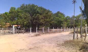 Imagem 2: SÍTIO NO JARDIM DA AURORA TIMON-MA