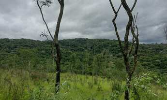 Imagem 2: Bota Fora - Área Rural com 52 Alqueires Região da Fernão Dias