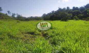 Imagem 3: Fazenda em terras de cultura ótimas para pecuária