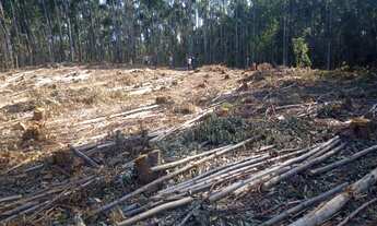 Imagem 3: Lote/Terreno para venda com 2500 metros quadrados em centro - Salesópolis - São Paulo