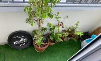 Imagem 7: Apartamento 72 m² 3 dormitórios - 1 suite - 1 vaga - piscina - Bairro Nova Petropólis - S