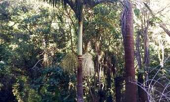 Imagem: CASA EM CONDOMÍNIO FECHADO COM TOTAL SEGURANÇA!