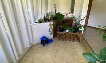 Imagem 5: Amplo apartamento, bairro da Velha!