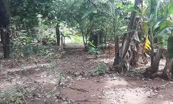 Imagem 4: Araçatuba - Lote/Terreno - Petit-Trianon