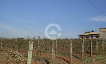 Imagem 2: área - Loteamento Parque Centenário - Campinas