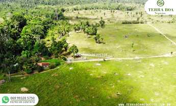 Imagem 6: FAZENDA 52,5 ALQUEIRES TODA FORMADA APÓS NOVA MUTUM/RONDÔNIA