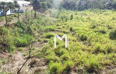 Imagem 4: Terreno à venda em Contorno norte, Ibiporã cod:TE0648