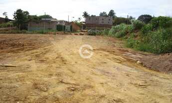 Imagem 4: área - Parque Rural Fazenda Santa Cândida - Campinas