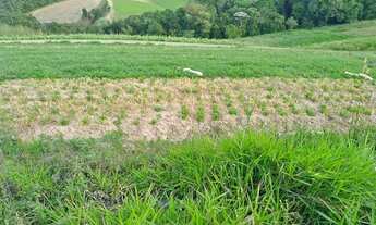 Imagem 4: Terreno para venda tem 600 metros quadrados em Centro - Ibiúna - SP