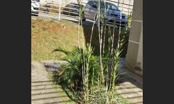 Imagem 4: Alugo apartamento 520