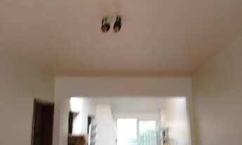 Imagem 7: Casa Hamburgo Velho Novo Hamburgo