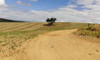 Imagem 5: Fazenda em itapeva s.p 213 alqueires 32.000.000.00 ( vice