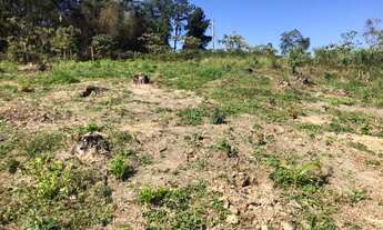 Imagem 2: 01Lote/Terreno para venda possui 600 metros quadrados com 1 quarto em Verava - Ibiúna - SP