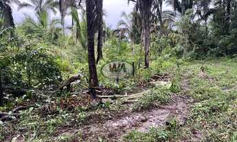 Imagem 4: Fazenda com terras de pretas de cultura